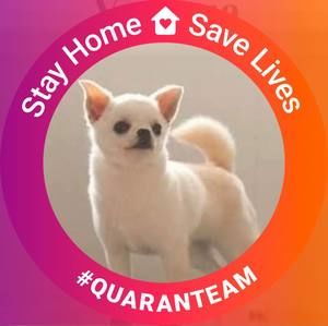 Meet your Posher, Carol